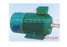 YVP/YVF系列變頻調(diào)速三相異步電動機(jī)